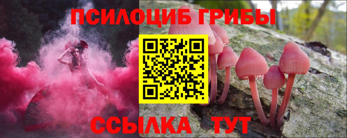 Галлюциногенные грибы мухоморы Нижний Новгород
